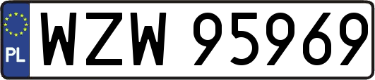 WZW95969