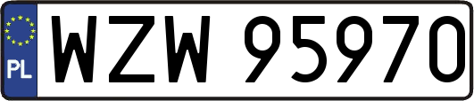 WZW95970