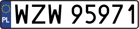 WZW95971