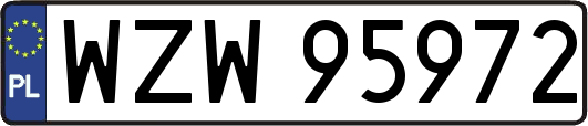 WZW95972