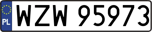 WZW95973