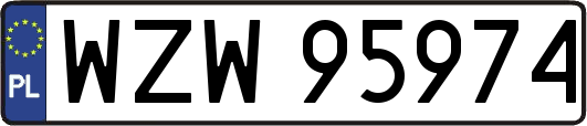 WZW95974