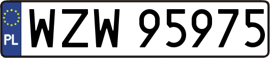 WZW95975