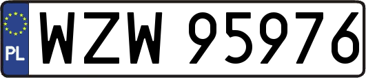 WZW95976