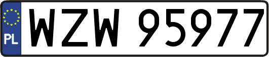 WZW95977