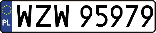 WZW95979