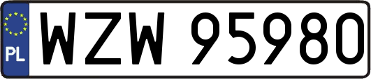 WZW95980