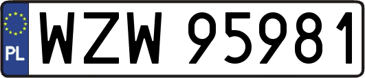 WZW95981