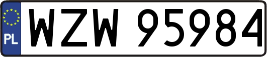 WZW95984
