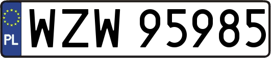 WZW95985
