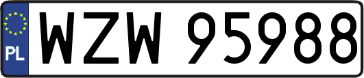WZW95988