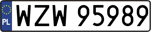 WZW95989