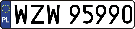 WZW95990