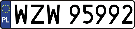 WZW95992