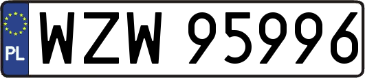 WZW95996