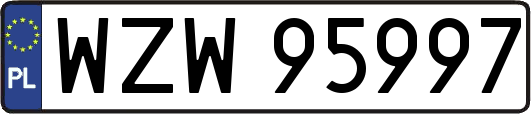 WZW95997