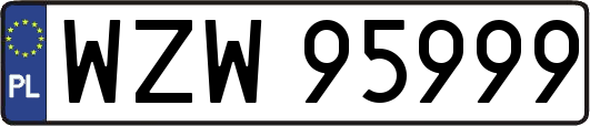WZW95999