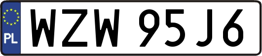 WZW95J6