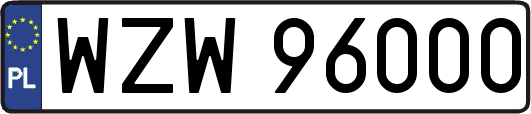 WZW96000