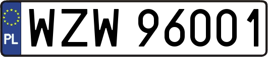 WZW96001