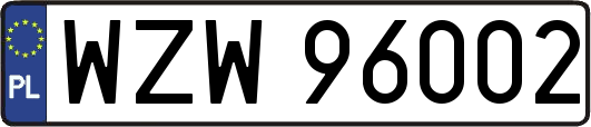 WZW96002