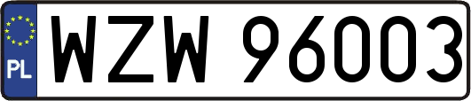 WZW96003