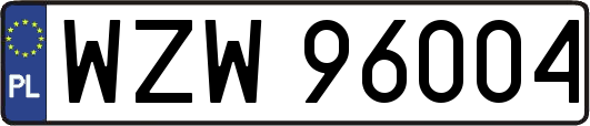 WZW96004