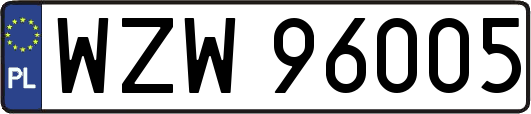WZW96005