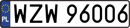 WZW96006