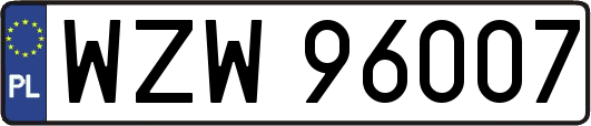 WZW96007
