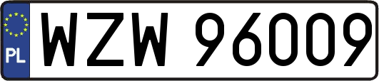WZW96009