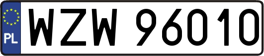 WZW96010