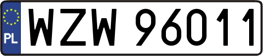 WZW96011