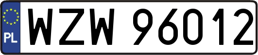 WZW96012
