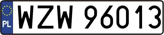 WZW96013