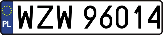 WZW96014
