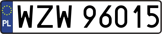 WZW96015