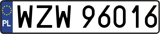 WZW96016