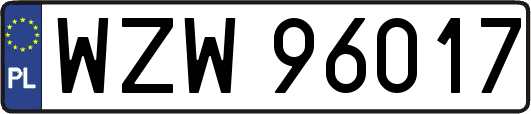 WZW96017