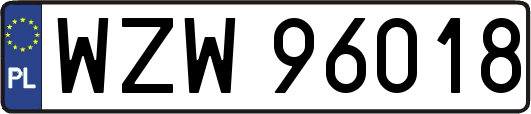 WZW96018