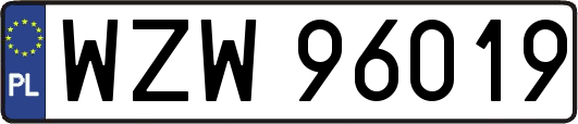 WZW96019