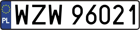 WZW96021