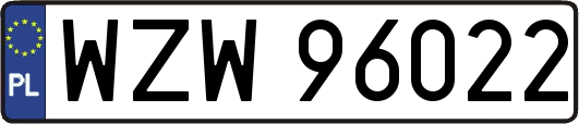 WZW96022