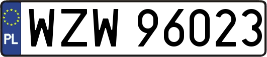 WZW96023