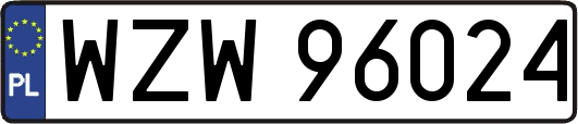 WZW96024