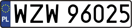 WZW96025