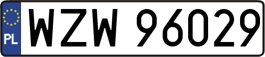 WZW96029