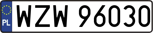WZW96030