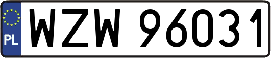 WZW96031