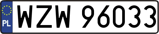 WZW96033